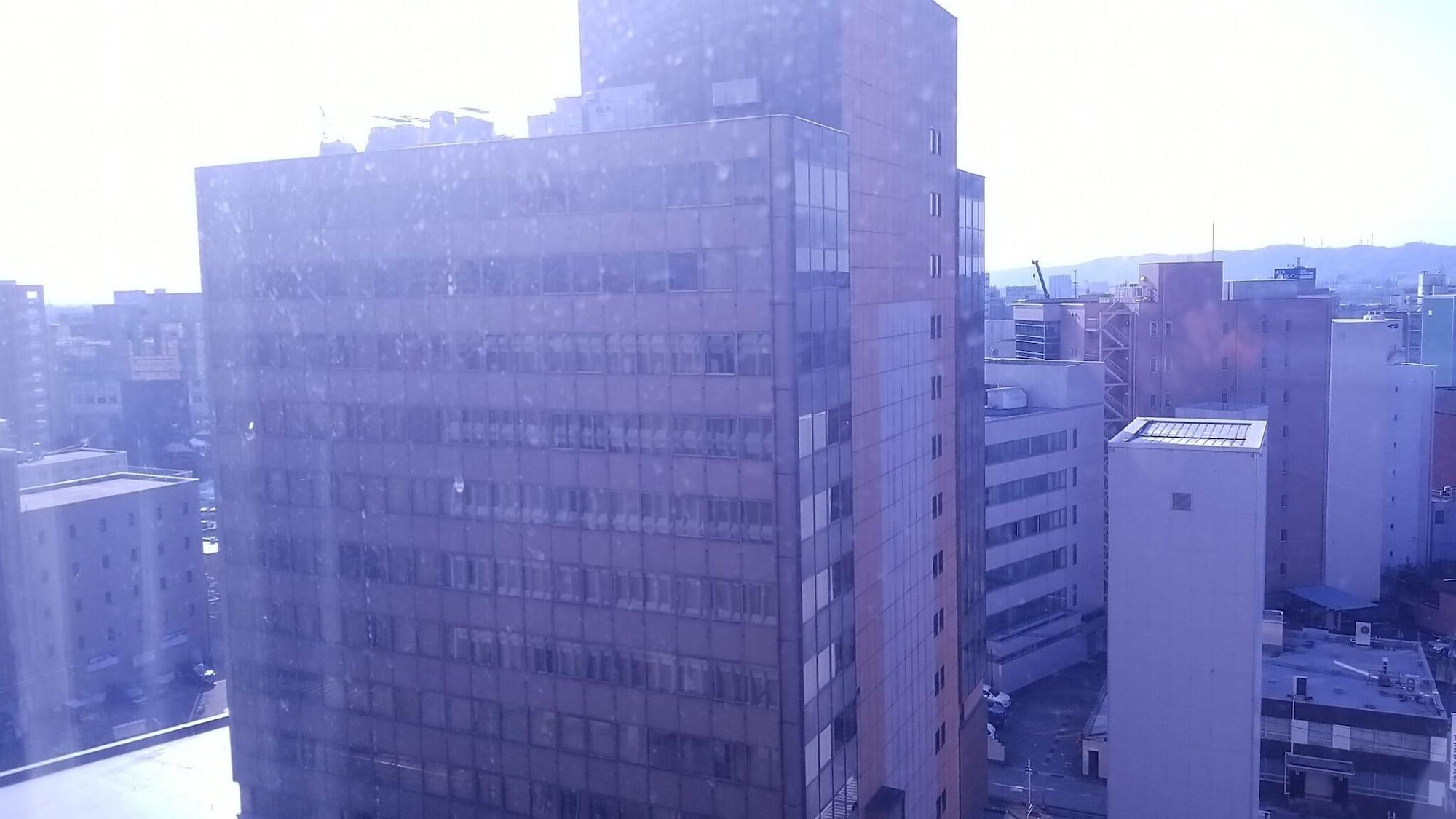 Hotel Grand Terrace Toyama Station Exterior foto